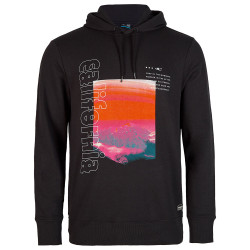 O'neill Ανδρικό φούτερ Cali Mountains Hoodie